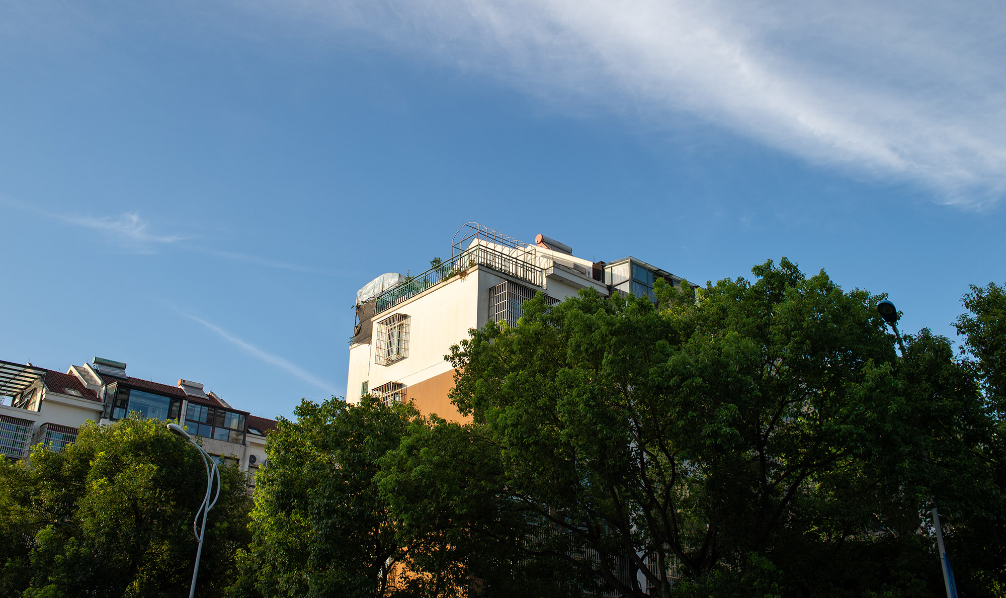蓝天下的建筑与树木,展示日常扫街视角